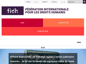 'fidh.org' screenshot