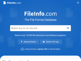'fileinfo.com' screenshot
