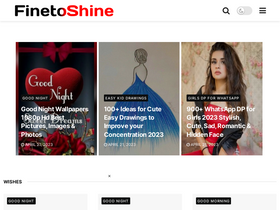 'finetoshine.com' screenshot
