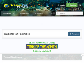 'fishforums.net' screenshot