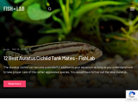 'fishlab.com' screenshot