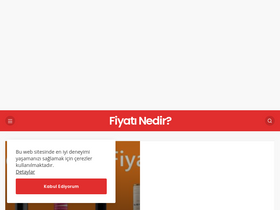 'fiyatinedir.net' screenshot