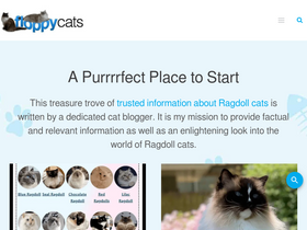 'floppycats.com' screenshot
