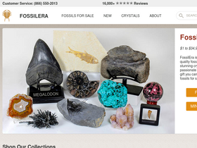 'fossilera.com' screenshot