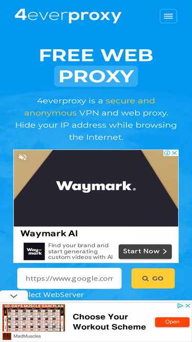 fr 4everproxy com competitors