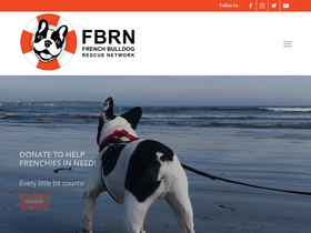 'frenchbulldogrescue.org' screenshot