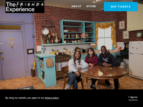 'friendstheexperience.com' screenshot