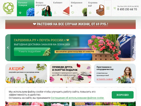 'garshinka.ru' screenshot