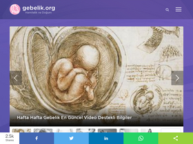 'gebelik.org' screenshot