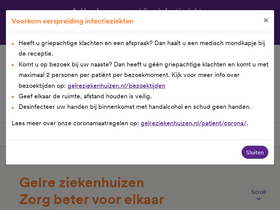 'gelreziekenhuizen.nl' screenshot