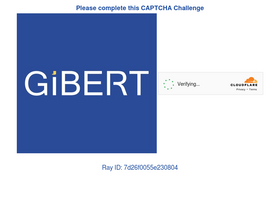 'gibert.com' screenshot
