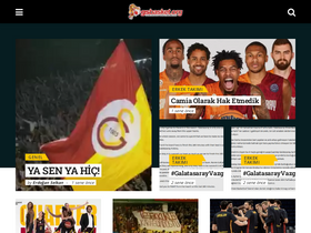 'gsbasket.org' screenshot