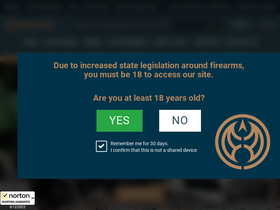 'guns.com' screenshot