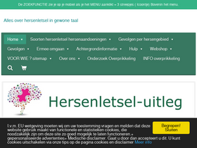 'hersenletsel-uitleg.nl' screenshot