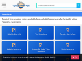 'hesaplamaci.com' screenshot