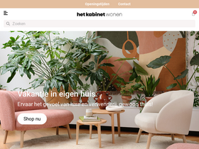 'hetkabinet.nl' screenshot