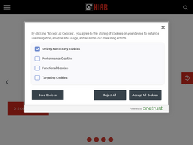 'hiab.com' screenshot