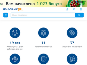 'holodilnik.ru' screenshot