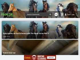 'horseforum.com' screenshot