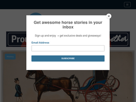 'horsenetwork.com' screenshot