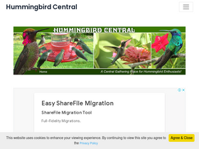 'hummingbirdcentral.com' screenshot