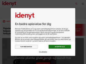 'idenyt.dk' screenshot