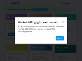 'igtor.com' screenshot
