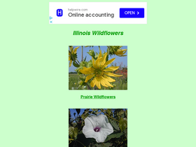 'illinoiswildflowers.info' screenshot