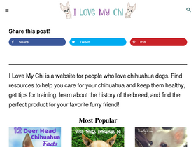 'ilovemychi.com' screenshot