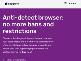 'incogniton.com' screenshot