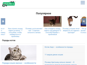 'infokotiki.ru' screenshot