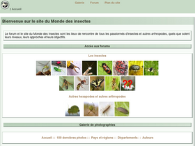 'insecte.org' screenshot