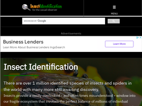 'insectidentification.org' screenshot