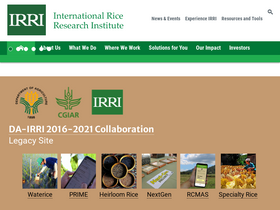 'irri.org' screenshot