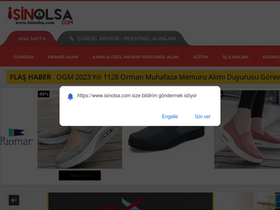 'isinolsa.com' screenshot