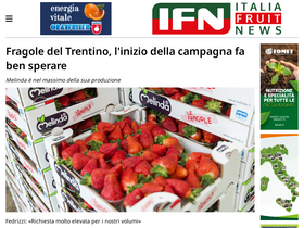 'italiafruit.net' screenshot