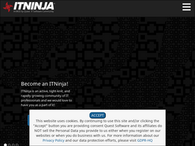 'itninja.com' screenshot