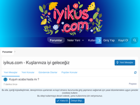 'iyikus.com' screenshot