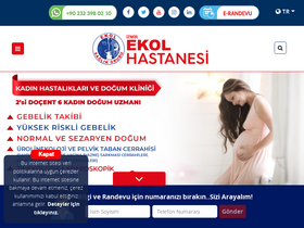 'izmirekolhastanesi.com' screenshot