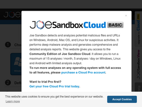 'joesandbox.com' screenshot