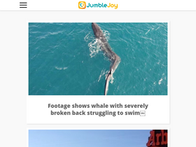 'jumblejoy.com' screenshot