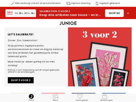 'juniqe.nl' screenshot