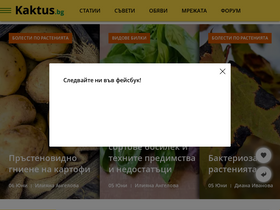 'kaktus.bg' screenshot