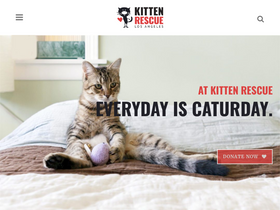 'kittenrescue.org' screenshot