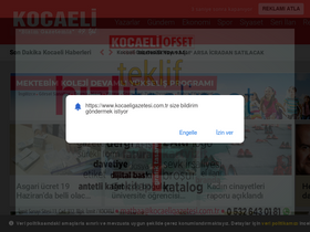 'kocaeligazetesi.com.tr' screenshot