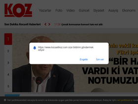'kocaelikoz.com' screenshot