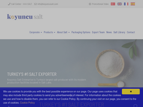 'koyuncusalt.com' screenshot
