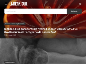 'laderasur.com' screenshot