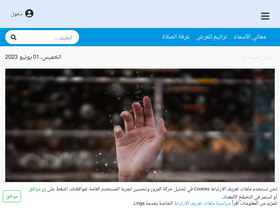 'linga.org' screenshot