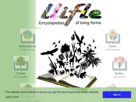 'llifle.com' screenshot